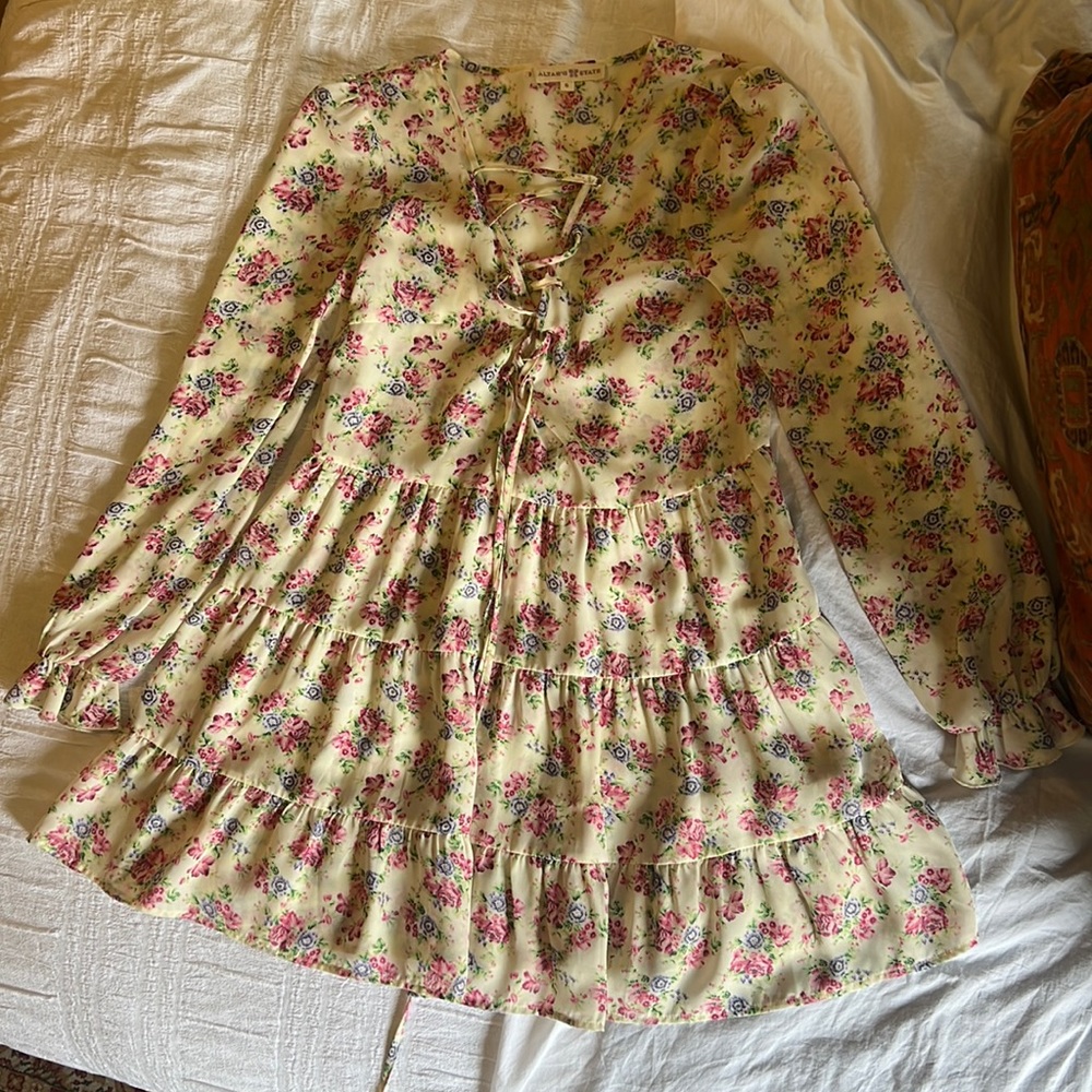 Altr’d State off white pink and blue floral dress/tunic